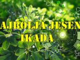 Jesen 2025. donosi snažnu, pozitivnu i transformišuću energiju za tri znaka Zodijaka – Lava, Raka i Vodoliju.