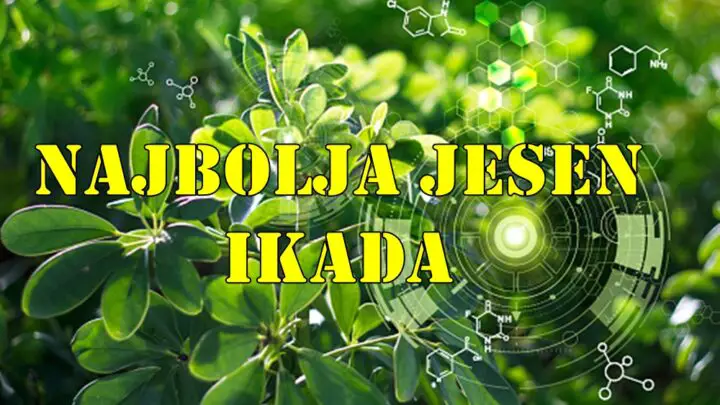 Jesen 2025. donosi snažnu, pozitivnu i transformišuću energiju za tri znaka Zodijaka – Lava, Raka i Vodoliju.