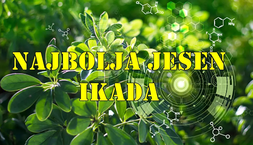 Jesen 2025. donosi snažnu, pozitivnu i transformišuću energiju za tri znaka Zodijaka – Lava, Raka i Vodoliju.