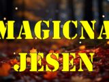 🍂 Magična jesen je pred nama – Evo šta svim znacima Zodijaka donosi! 🍂