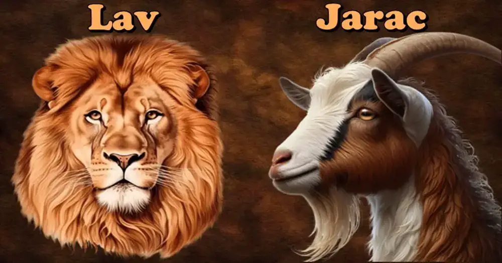 ♑ Jarac – Tihi pobednik i neumorni graditelj ♌ Lav – Srce puno hrabrosti i dostojanstva mogu biti ponosni na sebe