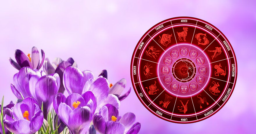 2H - 2026-03-01T083701.352