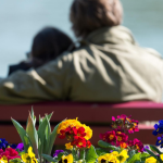 ROMANTIKA JE U VAZDUHU ZA OVA TRI ZNAKA ZODIJAKA – SRCE SE BUDI, SUDBINA SE MEŠA U EMOCIJE