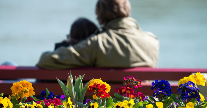 2H - 2026-03-01T125430.720