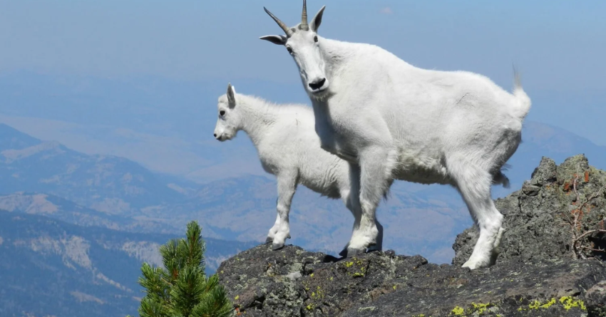 2H - 2026-03-02T080503.611