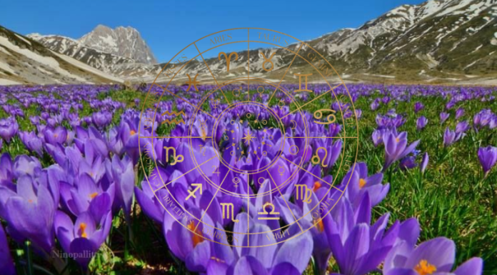 Sudbina ih ponovo spaja: Rak, Jarac i Strelac susreću nekoga iz prošlosti