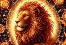10 razloga zašto je Lav najbolji čovek i zašto nam je svima potreban u životu?