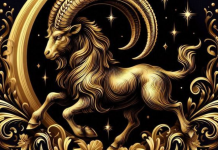 Deset razloga zašto je Jarac najbolji čovek i zašto nam je svima u životu potreban