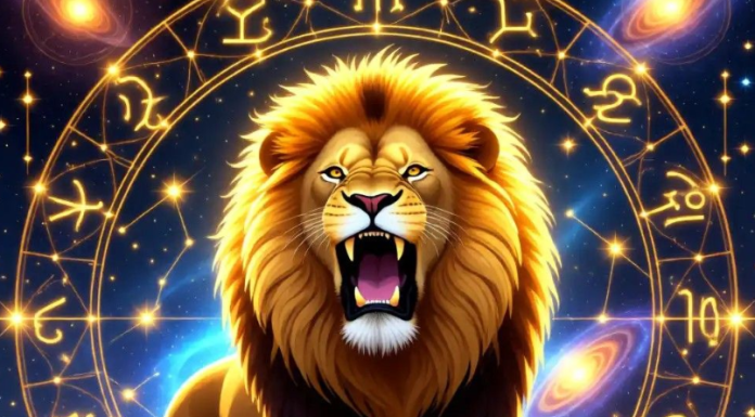 Lav – hrabro srce koje pomera granice i nikada ne odustaje