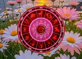 DANAS JE DAN SREĆE ZA LAVA I VAGU – A ŠTA ČEKA OSTALE ZNAKE ZODIJAKA?