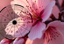 OVA TRI ZNAKA SU MILJENICI ZVEZDA TOKOM VIKENDA – Sudbina im sprema čuda, sreća ih prati u svakom koraku!