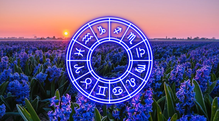 Danas je sreća na strani Strelca – a šta čeka ostale znakove zodijaka?
