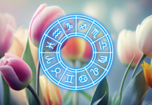 Vreme je da biraju sebe: Ovi znaci konačno stavljaju tačku na sve!Jarac, Vodolija, Ovan i Ribe