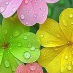 FANTASTIČNE VESTI OVOGA 1. APRILA: Bik i Jarac ulaze u period sreće – a evo šta čeka sve znakove zodijaka!