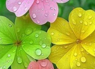 FANTASTIČNE VESTI OVOGA 1. APRILA: Bik i Jarac ulaze u period sreće – a evo šta čeka sve znakove zodijaka!