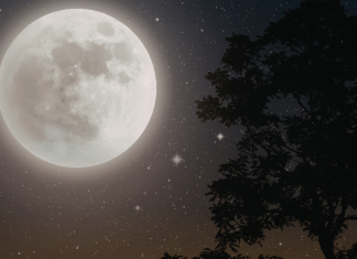 PUN MESEC mijenja sudbinu svih znakova: VAGA ne zna što će, VODOLIJA gubi strpljenje, a STRIJELAC dobiva priliku koja se ne ponavlja!