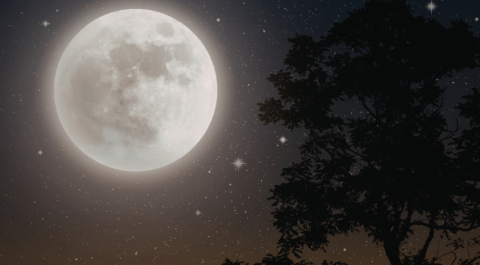 PUN MESEC mijenja sudbinu svih znakova: VAGA ne zna što će, VODOLIJA gubi strpljenje, a STRIJELAC dobiva priliku koja se ne ponavlja!