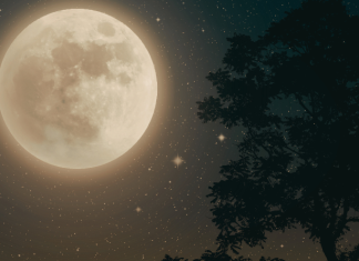 ŠTA NAM DONOSI PUNI MJESEC 1. MAJA: Detaljni HOROSKOP za sve znakove!