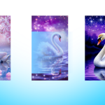 IZABERI BELOG LABUDA I SAZNAJ ISTINU: Sudbina ti otkriva šta te čeka u bliskoj budućnosti!