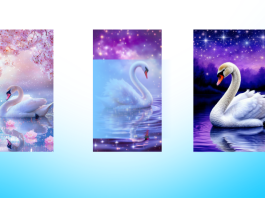 IZABERI BELOG LABUDA I SAZNAJ ISTINU: Sudbina ti otkriva šta te čeka u bliskoj budućnosti!