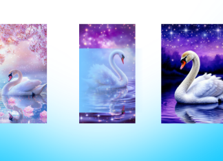 IZABERI BELOG LABUDA I SAZNAJ ISTINU: Sudbina ti otkriva šta te čeka u bliskoj budućnosti!