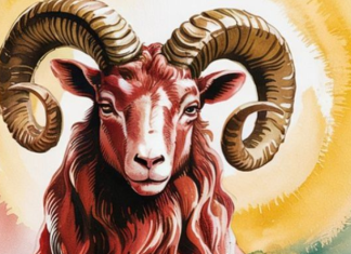 „Nikada ne laži Ovna – istina ga može zaboleti, ali laž te može skupo koštati.“