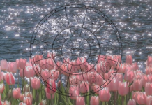 ONO ŠTO SU DUGO ČEKALI Ovan i Rak – sada konačno dolazi! Blizanci u neverici, a evo šta čeka sve ostale znakove zodijaka!