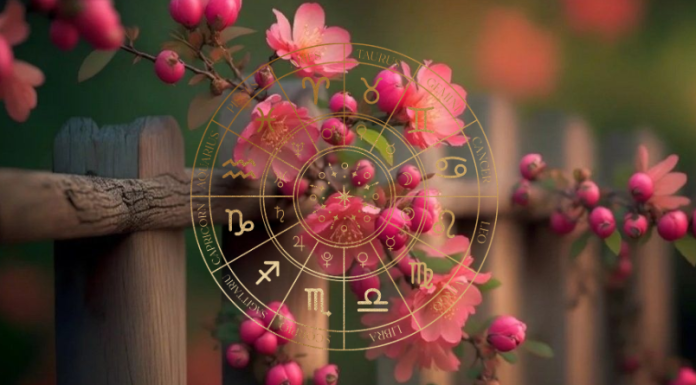 DANAS, 8. APRIL, DONOSI SREĆU RAKU, BIKU I RIBAMA: Evo šta čeka sve ostale znakove zodijaka!