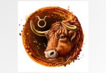 BIK – PROŠLI STE IZUZETNO TEŽAK PERIOD: Sada je vreme za vas – konačno se sve okreće u vašu korist!