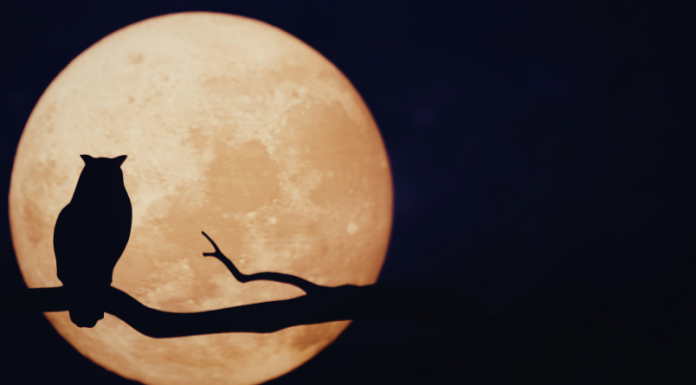 PUNI MJESEC NA POČETKU MAJA DONOSI SREĆU: Saznajte kako će ovo utjecati na sve znakove!