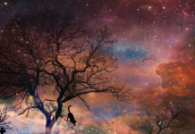 VELIKI HOROSKOP ZA MAJ: Šta donosi novi mjesec za svakog od 12 znakova – bez skrivanja i bez uljepšavanja!