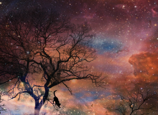 VELIKI HOROSKOP ZA MAJ: Šta donosi novi mjesec za svakog od 12 znakova – bez skrivanja i bez uljepšavanja!