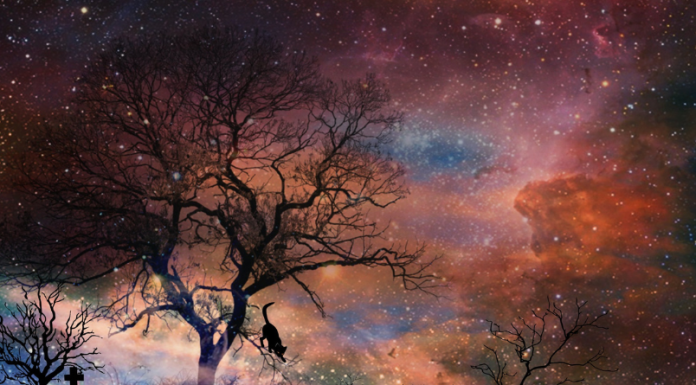 VELIKI HOROSKOP ZA MAJ: Šta donosi novi mjesec za svakog od 12 znakova – bez skrivanja i bez uljepšavanja!