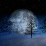 DANAS JE MLAD MJESEC U OVNU: Saznajte kakav utjecaj ima na sve znakove!