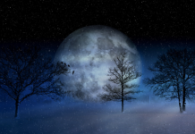 DANAS JE MLAD MJESEC U OVNU: Saznajte kakav utjecaj ima na sve znakove!