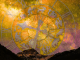 HOROSKOP DO KRAJA 2026. GODINE: Poruke koje vam SVEMIR šalje, a vi ih možda niste primijetili!