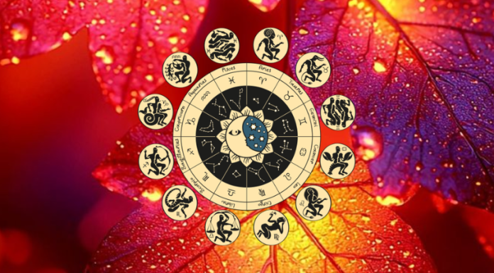 JESEN STIŽE I DONOSI IM SVE ONO ŠTO SU DUGO ŽELJELI: Ovih 9 znakova Zodijaka ulazi u period SREĆE, LJUBAVI, NOVCA I OSTVARENJA VELIKIH ŽELJA!