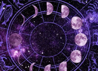 ISTOČNI HOROSKOP ZA NOVEMBAR 2026: Drevna mudrost otkriva VELIKE SUDBINSKE PREOKRETE, LJUBAVNA IZNENAĐENJA, NOVAC I OSTVARENJE DAVNIH ŽELJA – evo kojim znakovima dolaze NAJSRETNIJI DANI, a ko će MORATI DONIJETI VAŽNE ODLUKE!