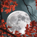 MAGIČNA MOĆ PUNOG MJESECA MIJENJA SUDBINU SVIH ZNAKOVA ZODIJAKA: Nekima stižu VELIKA LJUBAV I NOVAC, drugima SUDBINSKI PREOKRETI, a pojedinima se OSTVARUJU DAVNE ŽELJE!