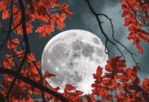 MAGIČNA MOĆ PUNOG MJESECA MIJENJA SUDBINU SVIH ZNAKOVA ZODIJAKA: Nekima stižu VELIKA LJUBAV I NOVAC, drugima SUDBINSKI PREOKRETI, a pojedinima se OSTVARUJU DAVNE ŽELJE!