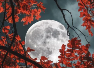 MAGIČNA MOĆ PUNOG MJESECA MIJENJA SUDBINU SVIH ZNAKOVA ZODIJAKA: Nekima stižu VELIKA LJUBAV I NOVAC, drugima SUDBINSKI PREOKRETI, a pojedinima se OSTVARUJU DAVNE ŽELJE!