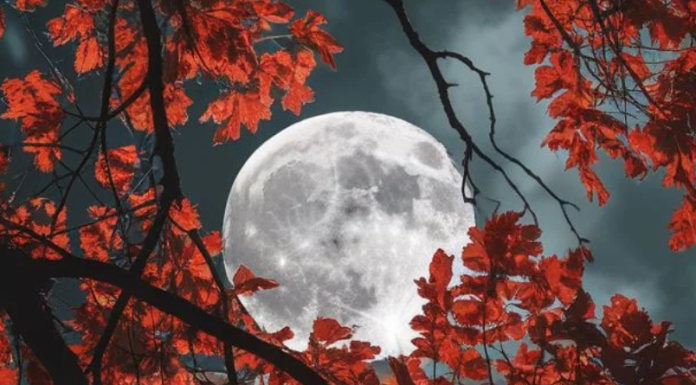 MAGIČNA MOĆ PUNOG MJESECA MIJENJA SUDBINU SVIH ZNAKOVA ZODIJAKA: Nekima stižu VELIKA LJUBAV I NOVAC, drugima SUDBINSKI PREOKRETI, a pojedinima se OSTVARUJU DAVNE ŽELJE!